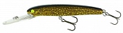 Deep Runner 120F