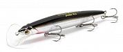 Scooter Minnow