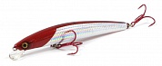 Shoreline Shiner R40 LD S-G