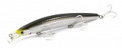 Shoreline Shiner R50+SSR F-G