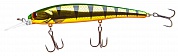Walleye Shallow 