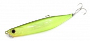 Bent Minnow 