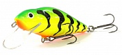 Perch 8F