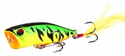Realis Popper