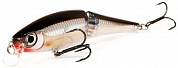BX Swimmer (BXS)