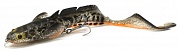 3D Burbot Shallow