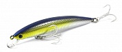 Shoreline Shiner R40+ F-G