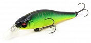 X-80 Trick Darter