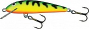 Minnow 9F