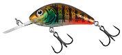Rattlin' Hornet 5.5F