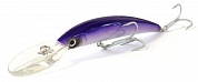 Crystal Minnow DD 110F (R539)