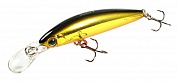 Timon Midia 53F