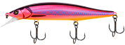 RV-Minnow
