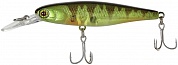 Squirrel 61SP