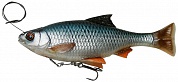 4D Line Thru Pulse Tail Roach