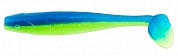 Minnow