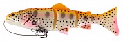 3D Line Thru Trout SS