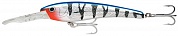 Deep Thunder 11