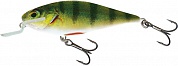 Executor  12 SR
