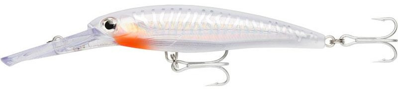 X-Rap Magnum (XRMAG)