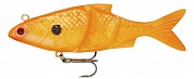 Live Kickin' Shad 