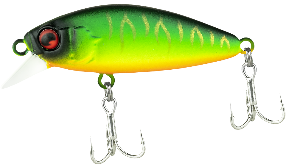 Abbey Minnow