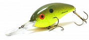 Fat Free Shad Jr. BD6F