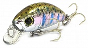 L-Minnow 