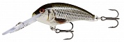Shad Dancer (SDD)