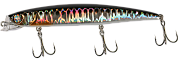 Rada Minnow