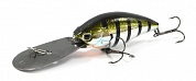 TD Hyper Crank 206 XS
