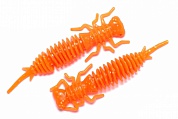 Maggot
