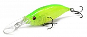 IxI Shad Type-3