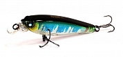 3DS Minnow