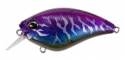 Realis Apex Crank 66 Squarred