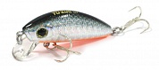L-Minnow 66S