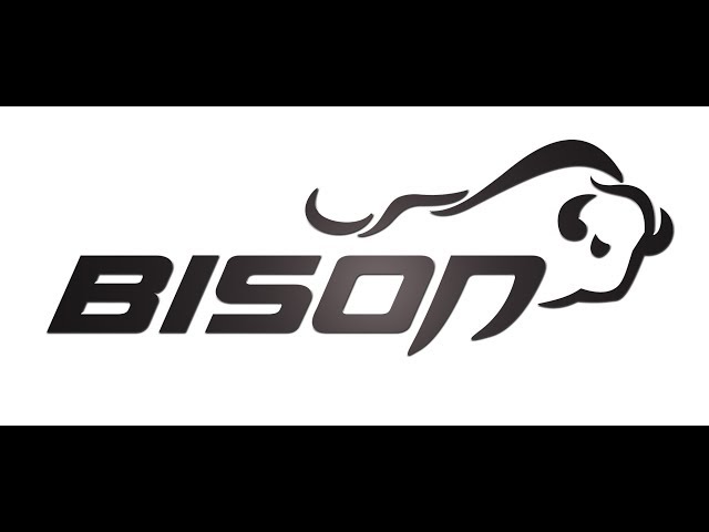 Bison