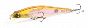 Zoner Minnow 