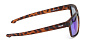 Очки Alaskan Dog Salmon AG24-08 Blue Revo 