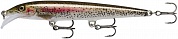 Воблер Rapala Scatter Rap Minnow 11 (SCRM-11) #RTL Live Rainbow Trout