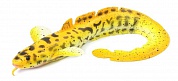 Savage Gear 3D Burbot #02