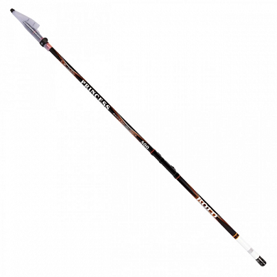 Болонское удилище ZORI Princess 600