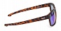 Очки Alaskan Dog Salmon AG24-08 Blue Revo 