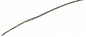 Поводковый материал Nautilus WaterChance 20lb 10м Dark Green
