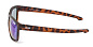 Очки Alaskan Dog Salmon AG24-08 Blue Revo 