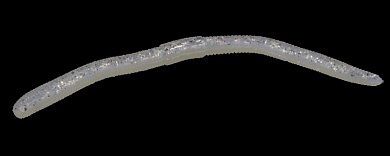 Akkoi Live 120mm #S065