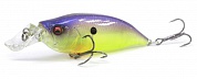 Воблер Megabass IxI Shad Type-R #Imakatsu Bream