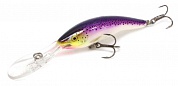 Воблер Rapala Deep Tail Dancer 09 #PD Purpledescent